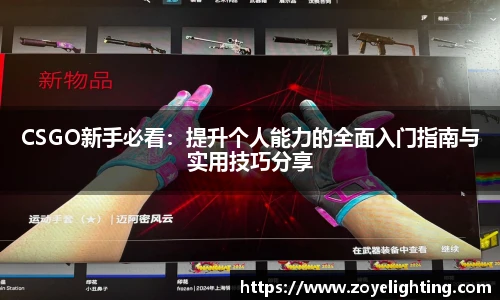 pg模拟器